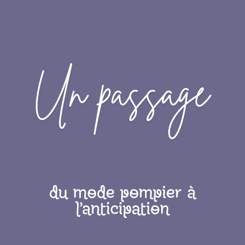 Illustration des partis pris et de l’accompagnement systémique pour dirigeants.